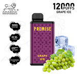 Load image into Gallery viewer, ARABISK PROMISE 12000 PUFFS 50MG RECHARGEABLE - GRAPE ICE
