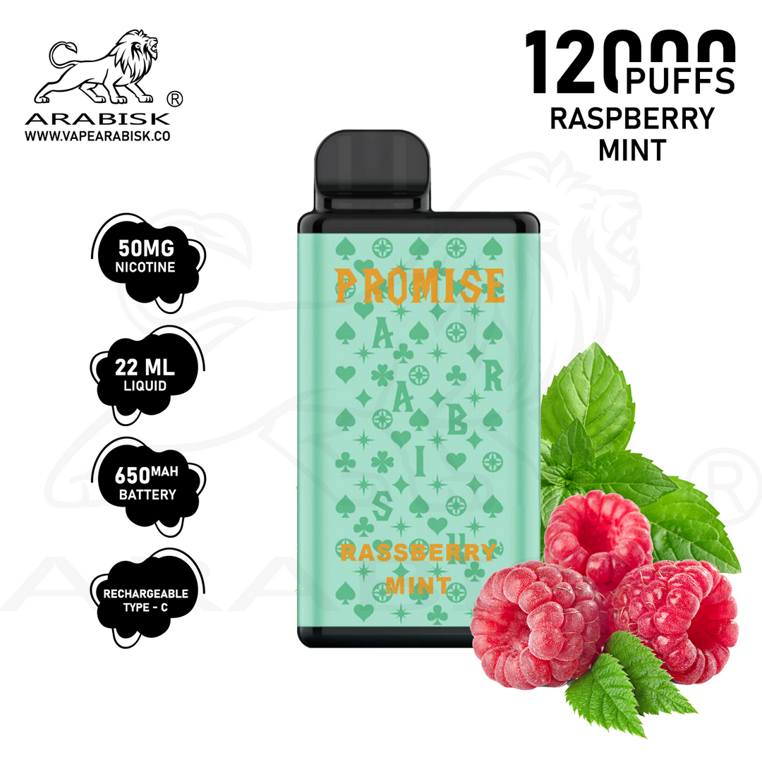 ARABISK PROMISE 12000 PUFFS 50MG  RECHARGEABLE - RASPBERRY MINT
